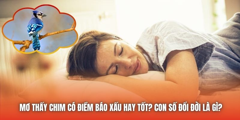 Mơ Thấy Chim Có Điềm Báo Xấu Hay Tốt? Con Số Đổi Đời Là Gì?