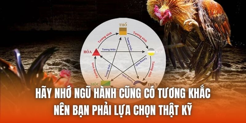 Hãy nhớ ngũ hành cũng có tương khắc nên bạn phải lựa chọn thật kỹ