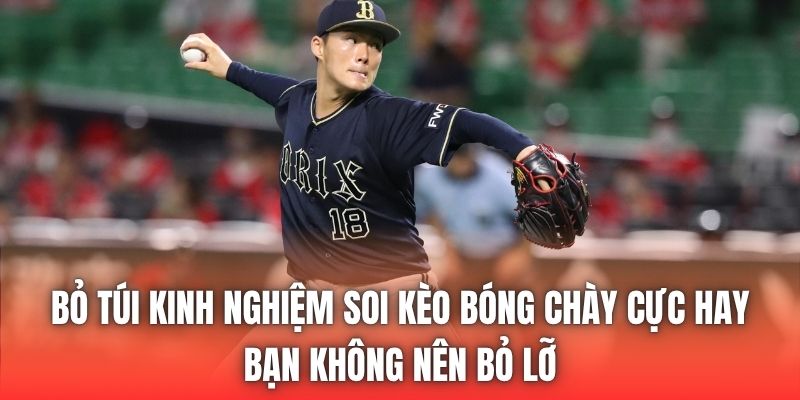 Bỏ túi kinh nghiệm soi kèo bóng chày cực hay bạn không nên bỏ lỡ