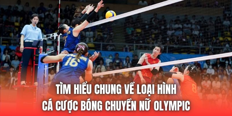 Tìm hiểu chung về loại hình cá cược bóng chuyền nữ Olympic