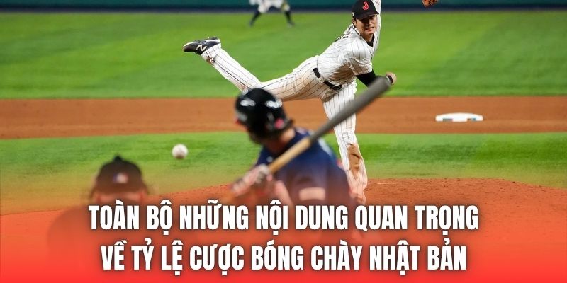 Toàn bộ những nội dung quan trọng về tỷ lệ cược bóng chày Nhật Bản
